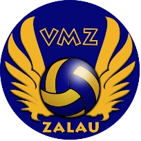 Volei Municipal Zalău