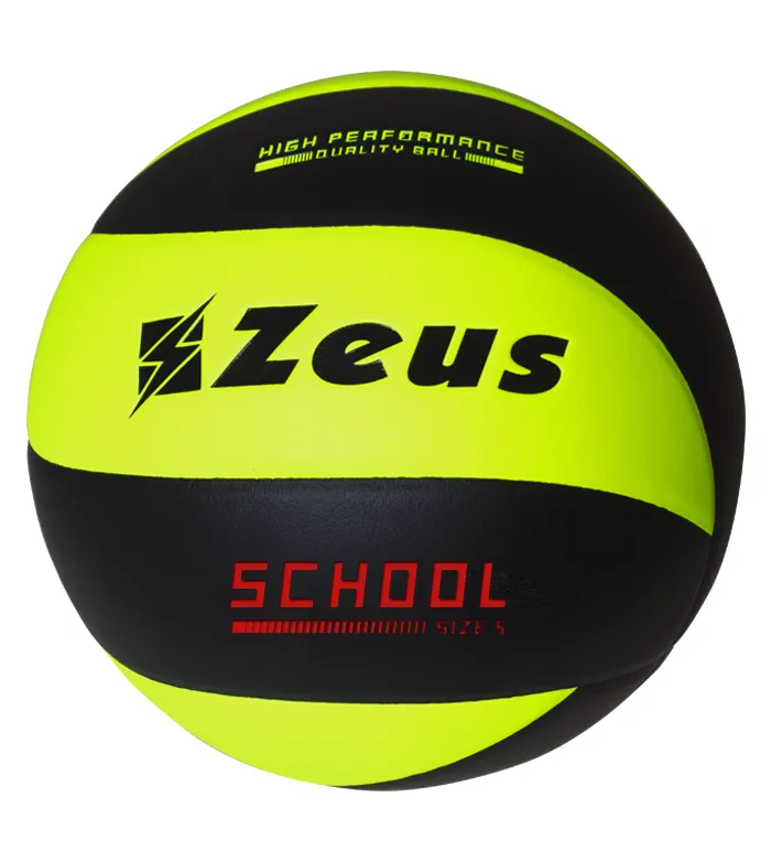 Volleyball School